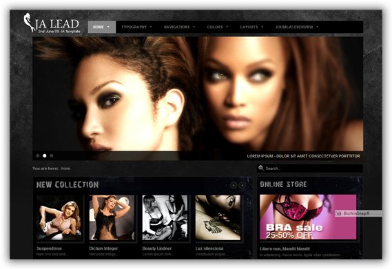 JA Lead 10 Impressive Themes for Joomla