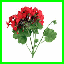 http://img46.xooimage.com/files/4/e/c/acrostiche-730637.gif