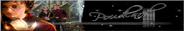 http://img46.xooimage.com/files/6/6/7/p0xf12-1c6cf33.png