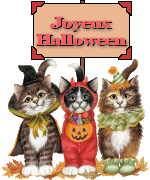 joyeux-halloween-chatons-flora-http://le-blog-de-geisha.over-blog.com/