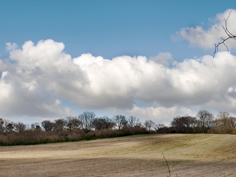Paysage proche de Toulouse en Digital Blending P10-d1e50d