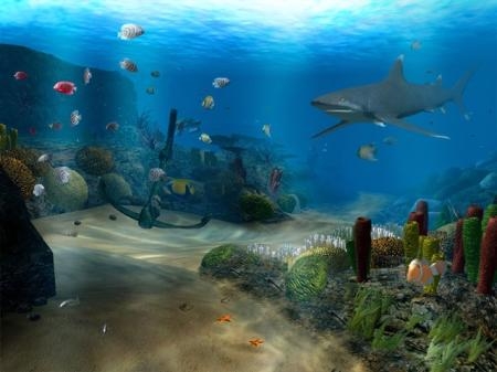 Ocean Dive Screensaver