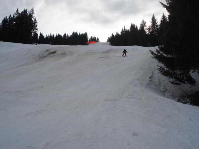 Moineau / Megève Jaillet Dsc03901-8c958a