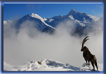 http://img46.xooimage.com/files/a/5/1/bauges-1021e6f.png