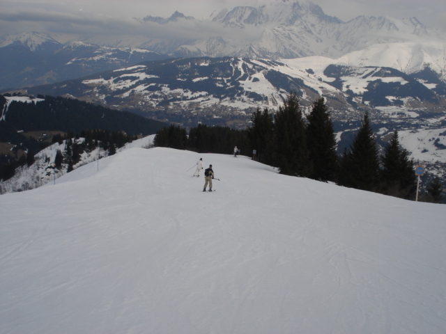 Chevreuil / Megève Jaillet Dsc03886-856389