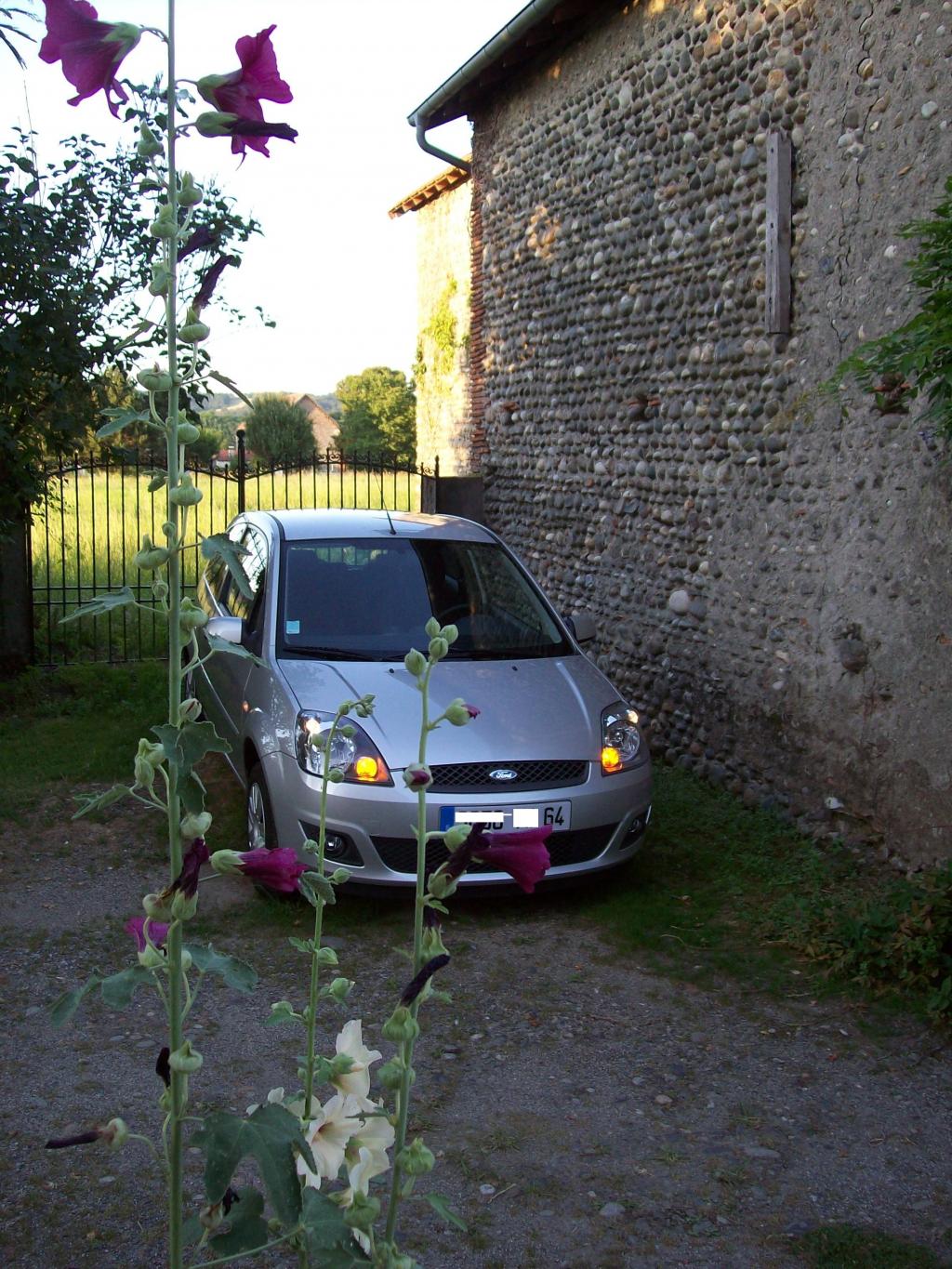 http://img46.xooimage.com/files/b/8/1/100_0340-10cb402.jpg