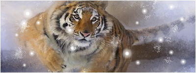 http://img46.xooimage.com/files/b/8/a/zerowxxxxxxxxxxxf...shitora02-cd7a09.png