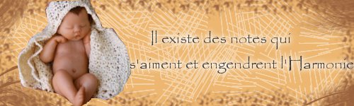 L'arrivée d'un béarnais pseudo italien Sans-titre-234a6fc