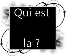 Qui est en ligne ?