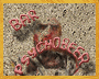 http://img46.xooimage.com/files/e/4/4/bar-1006af0.gif