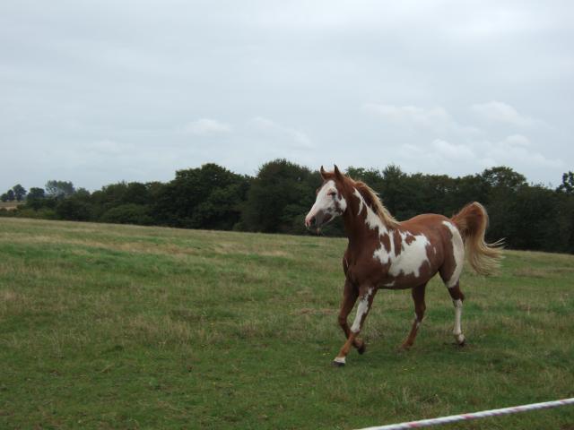Image: septembre-074-66fe02.jpg
