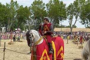 http://img46.xooimage.com/files/f/3/9/_dsc1521reduc-fd26f2.jpg