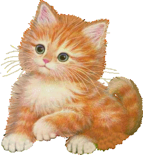 http://img46.xooimage.com/files/4/d/b/113_ca10-1ad8bf3.gif